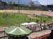 Allo stadio